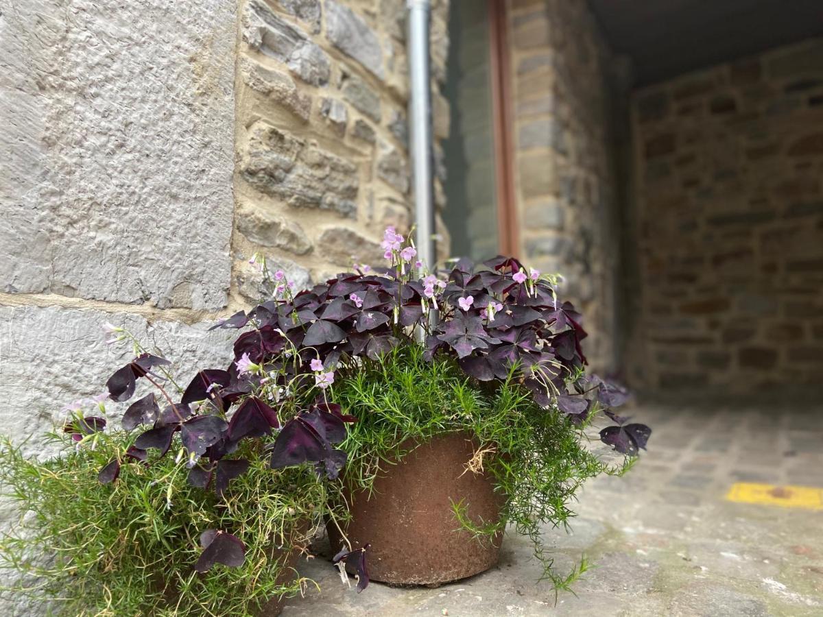 Fenetre Sur Theux Apartment Exterior photo